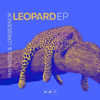 Leopard by Pan Nikdo