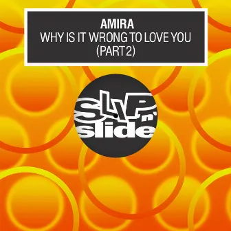 Why Is It Wrong To Love You (Pt. 2) by AMIRA