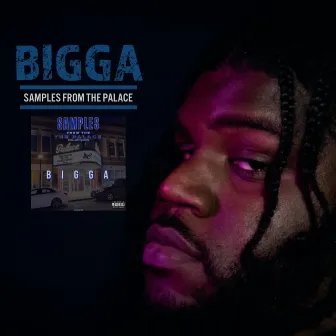 Samples from the Palace by Bigga