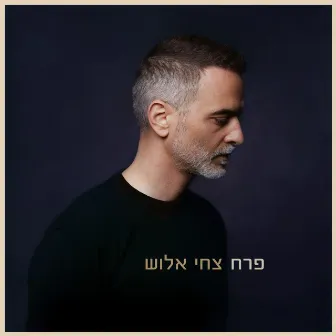 פרח by Tsahi Alush