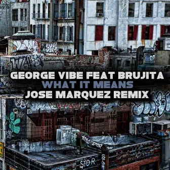 What It Means (feat. Brujita) by George Vibe