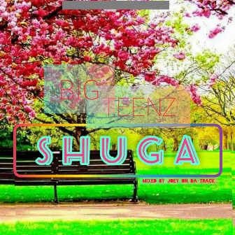 Shuga by Big Teenz