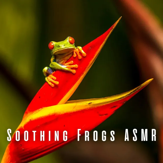 Soothing Frogs ASMR