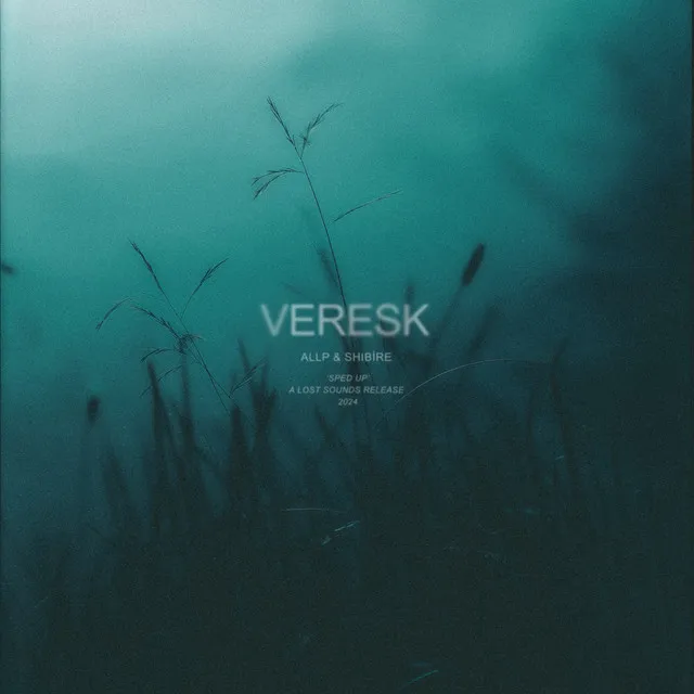 veresk - sped up