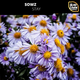 Stay by SOWZ