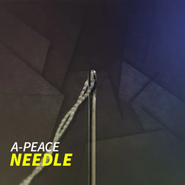 Needle