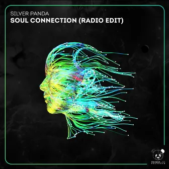 Soul Connection by Silver Panda