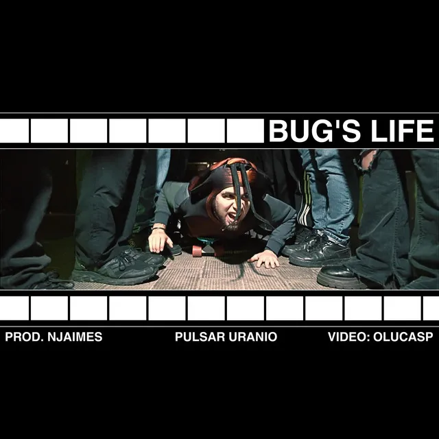 Bug's life