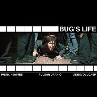 Bug's life by Pulsar Uranio