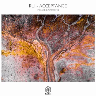 Acceptance by Rui