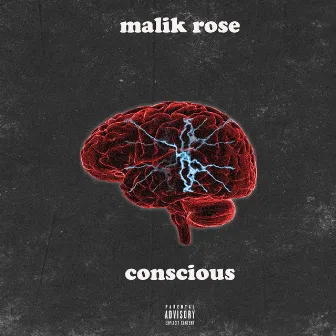 Conscious by Malik Rose