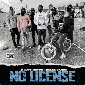 No License by ZI