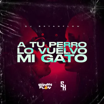 A Tu Perro Lo Vuelvo Mi Gato by DJ Bryanflow