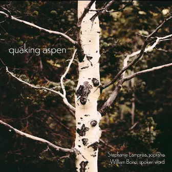 Quaking Aspen by William Bond