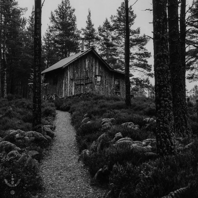 A Gateway at the Treeline