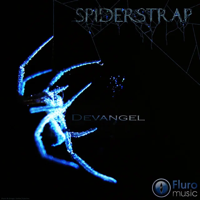 Spiderstrap