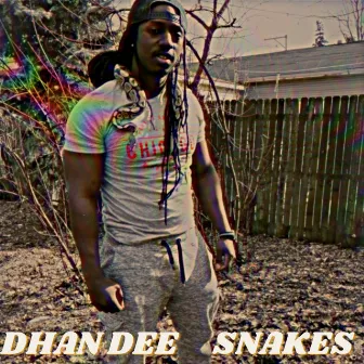 Snakes by Dhan Dee