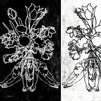 The Trio of Eluctations by Jackson Moore