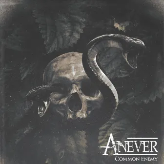 Common Enemy by Anever