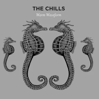 Warm Waveform by The Chills