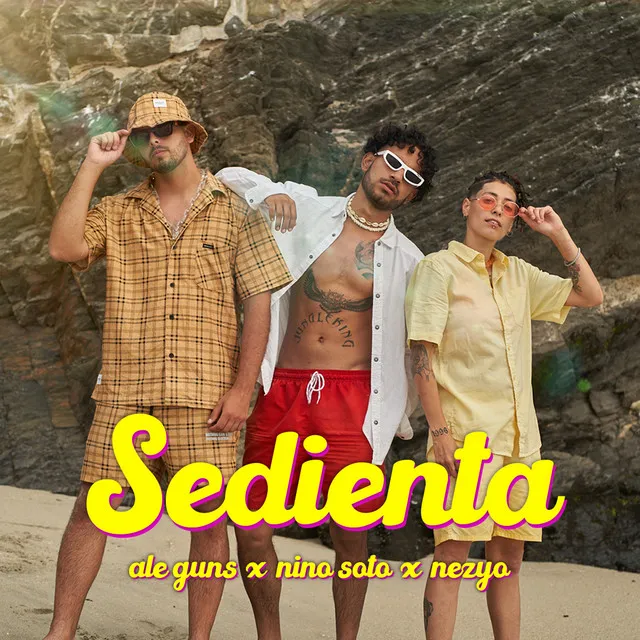 Sedienta