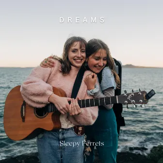 Dreams (Acoustic Violin Version) by Jessica Tomey