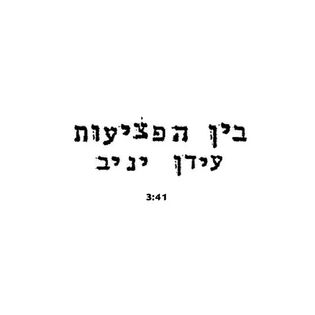 בין הפציעות