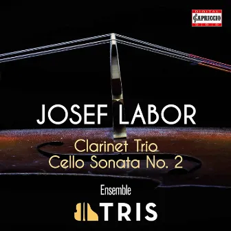 Labor: Clarinet Trio & Cello Sonata No. 2 by Josef Labor