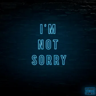 I'm Not Sorry by Luca Rozzoni