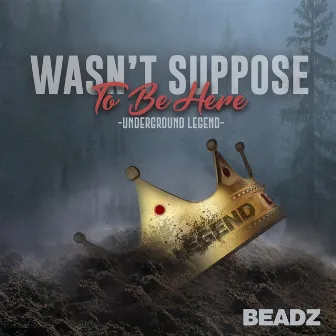 Wasn't Suppose to Be Here by Beadz