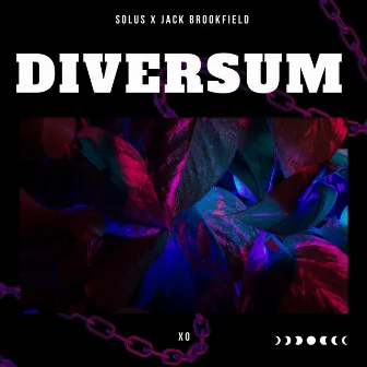 Diversum by Solus