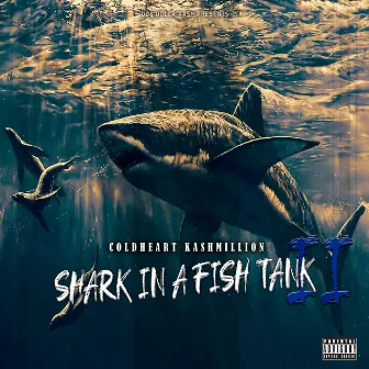 Shark in a Fish Tank 2 by Coldheart Kashmillion