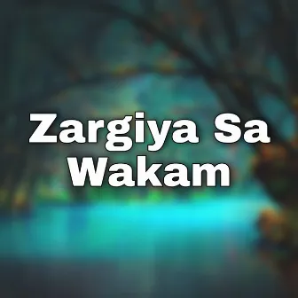 Zargiya Sa Wakam by Raheela Naz