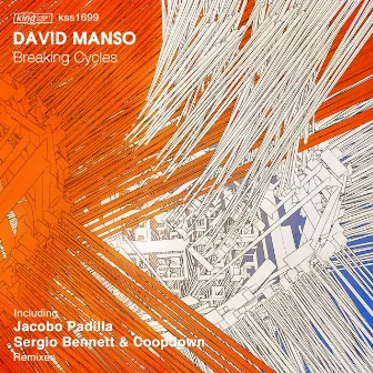 Breaking Cycles by David Manso