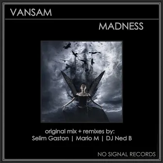 Madness by Vansam