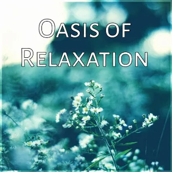 Oasis of Relaxation - New Age Music, Ocean Waves & Soothing Sounds of Nature, Total Relaxation and Meditation by Oasis of Relaxation