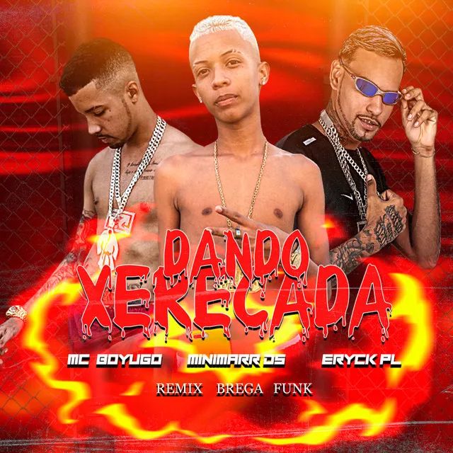 Dando Xerecada (Remix Brega Funk)