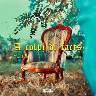 A Colpi Di Facts by Broke Boy Twelve