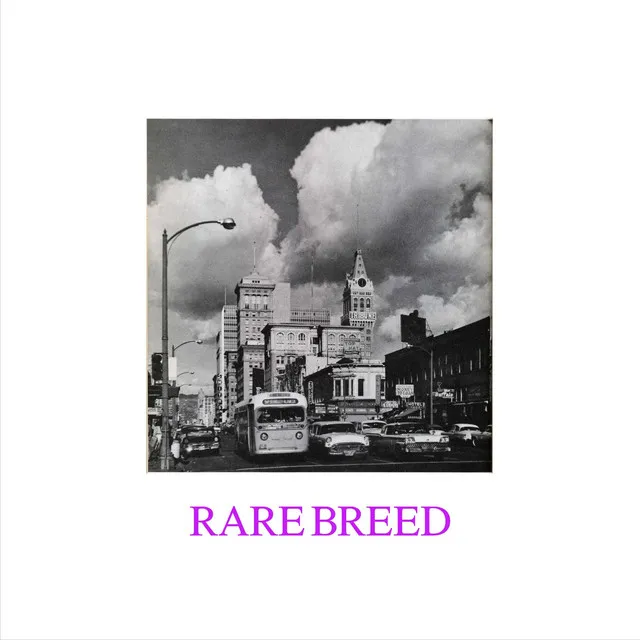 RARE BREED