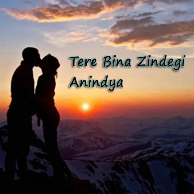 Tere Bina Zindegi