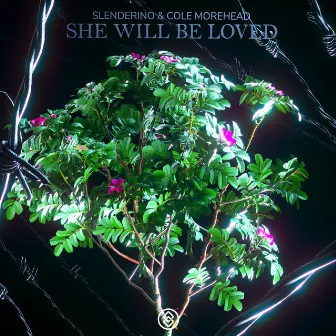 She Will Be Loved by Cole Morehead