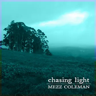 Chasing Light by Mezz Coleman