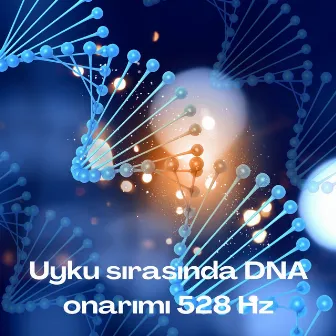 Uyku sırasında DNA onarımı 528 Hz - Sinir sistemini iyileştirme, Beyin dalgası terapisi için müzik by Caz Müzik Akademisi