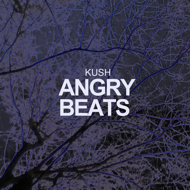 Angry Beats