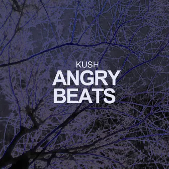 Angry Beats by Kush