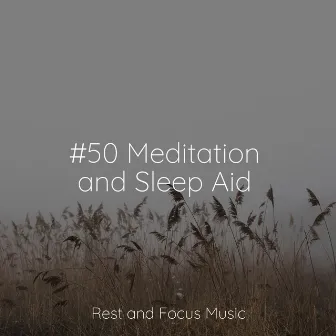 #50 Meditation and Sleep Aid by 