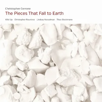 The Pieces That Fall to Earth by Wild Up