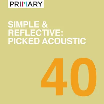 Simple & Reflective: Picked Acoustic by Andres Bertoglio