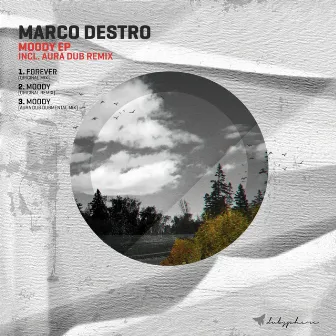 Moody EP by Marco Destro