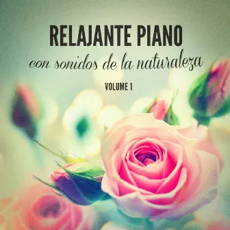 Relajante piano con sonidos de la naturaleza by Unknown Artist